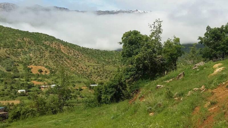 Şirvan Akyokuş Köyü Resimleri 6