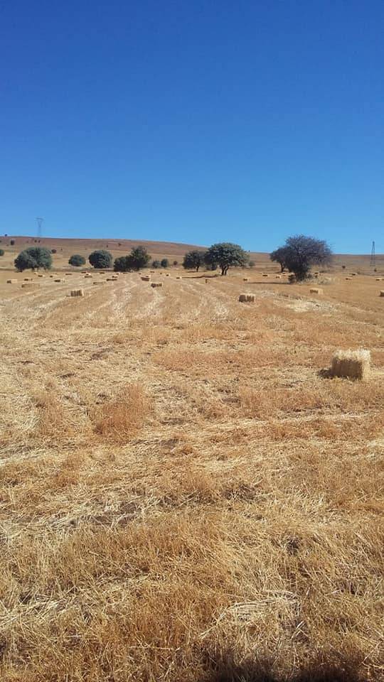 Sivas Porsuk Köyü Resimleri 2