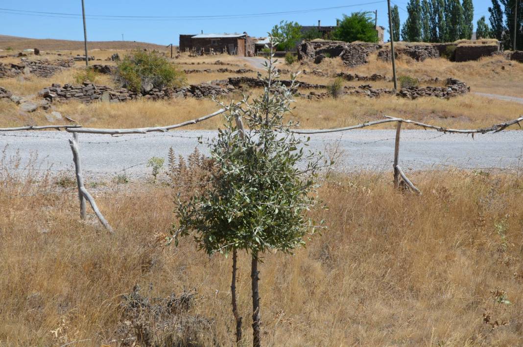 Sivas Saklı Köyü Resimleri 16