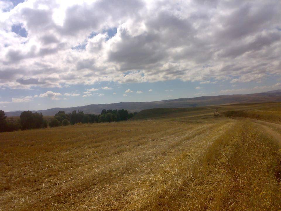 Sivas Sarıdemir Köyü Resimleri 3