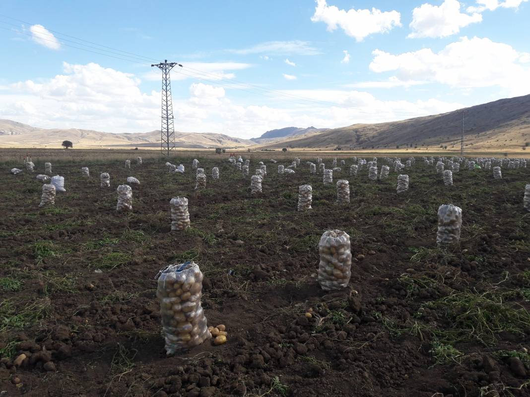 Sivas Savcun Köyü Resimleri 16