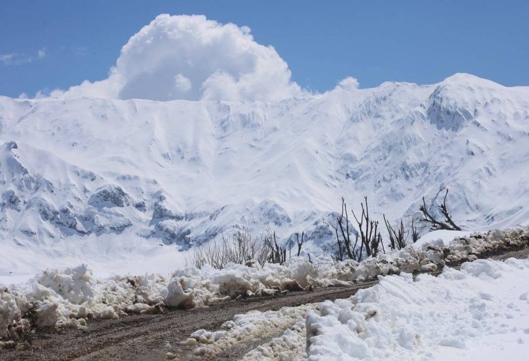 Şirvan Cevizlik Köyü Resimleri 10