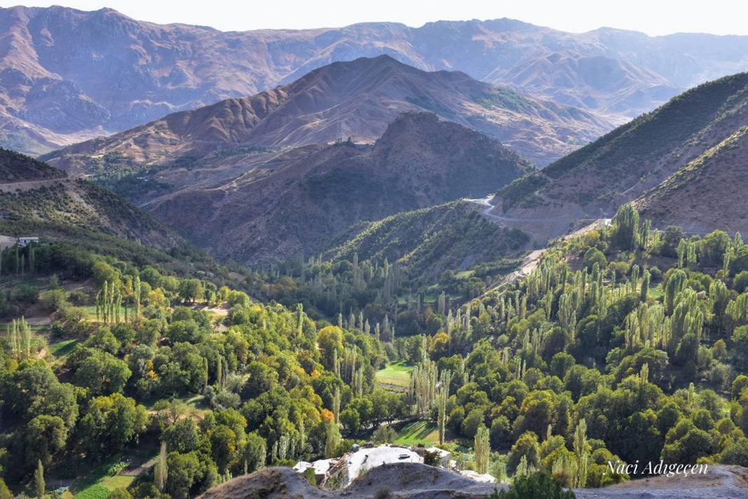 Şirvan Cevizlik Köyü Resimleri 7