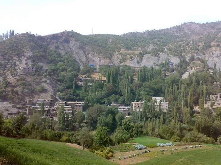 Şirvan Cevizlik Köyü Resimleri 8