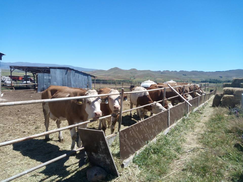 Sivas Tahtakement Köyü Resimleri 1