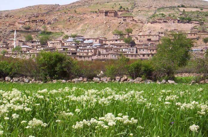 Şirvan Dişlinar Köyü Resimleri 3