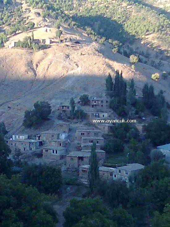 Şirvan Elmadalı Köyü Resimleri 1