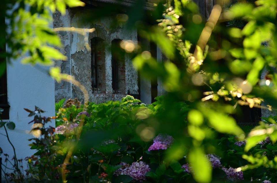 Sapanca Yanık Köyü Resimleri 4