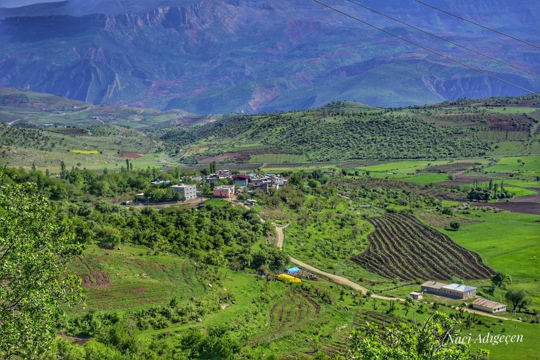 Şirvan İncekaya Köyü Resimleri 10