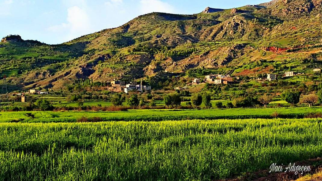 Şirvan İncekaya Köyü Resimleri 4