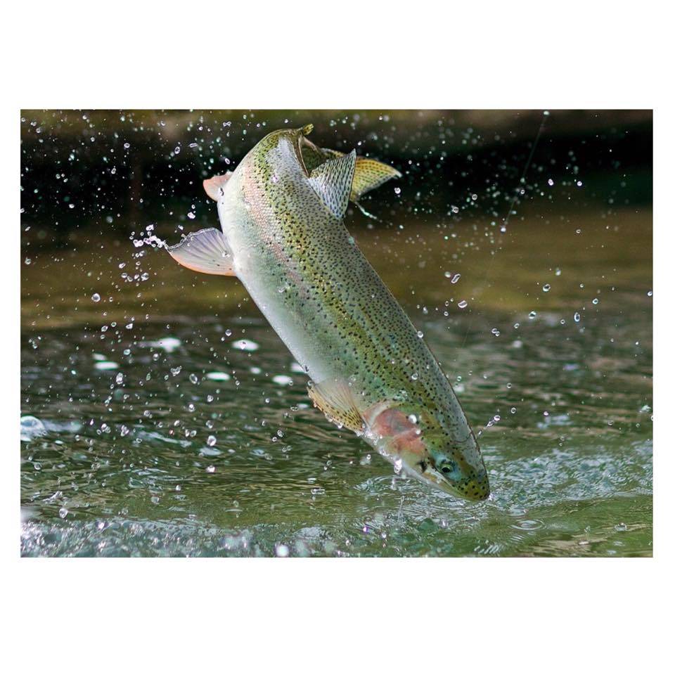 Şirvan İncekaya Köyü Resimleri 8