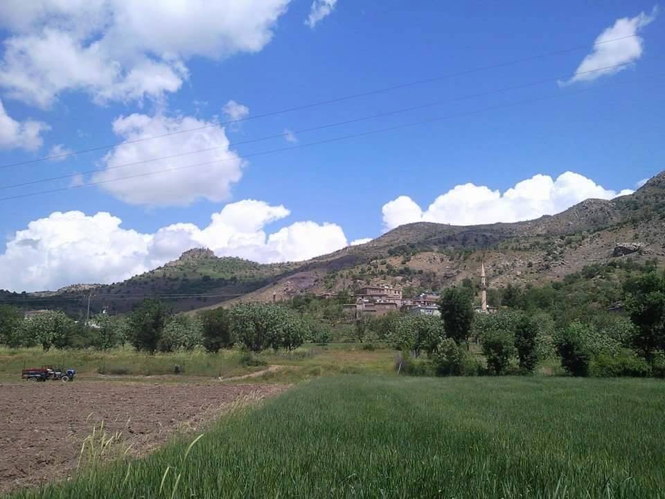 Şirvan İncekaya Köyü Resimleri 9