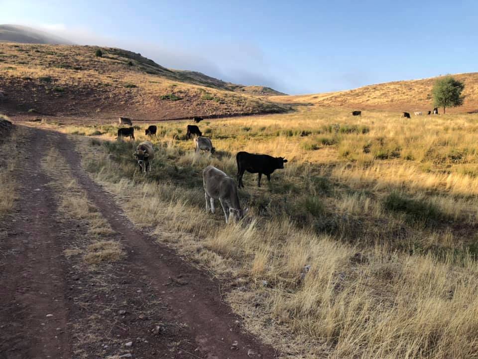 Sivas Yağmurluseki Köyü Resimleri 9