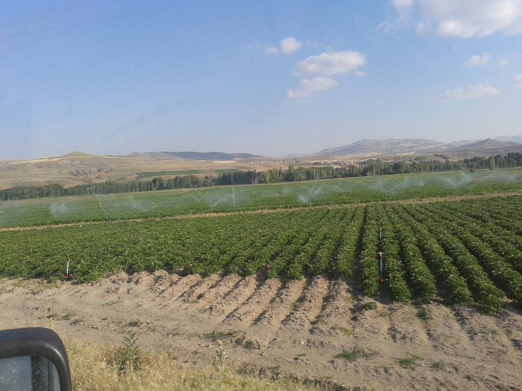 Sivas Yanalak Köyü Resimleri 10