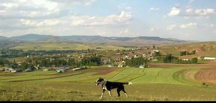 Sivas Yanalak Köyü Resimleri 4