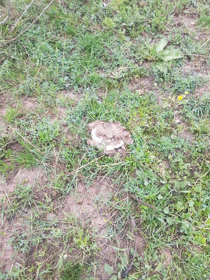 Sivas Yaramış Köyü Resimleri 6