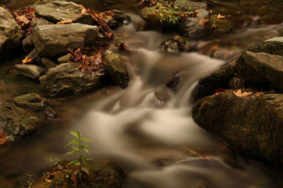 Sapanca Akçay Köyü Resimleri 1