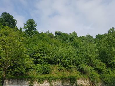 Sapanca Akçay Köyü Resimleri 10