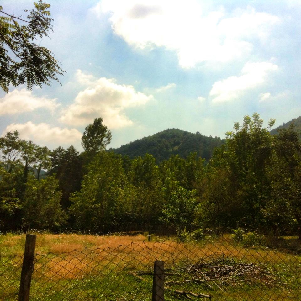 Sapanca Akçay Köyü Resimleri 11