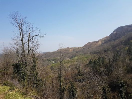 Sapanca Akçay Köyü Resimleri 12