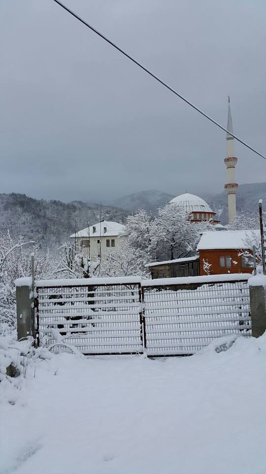 Sapanca Akçay Köyü Resimleri 6