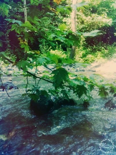 Sapanca Akçay Köyü Resimleri 7