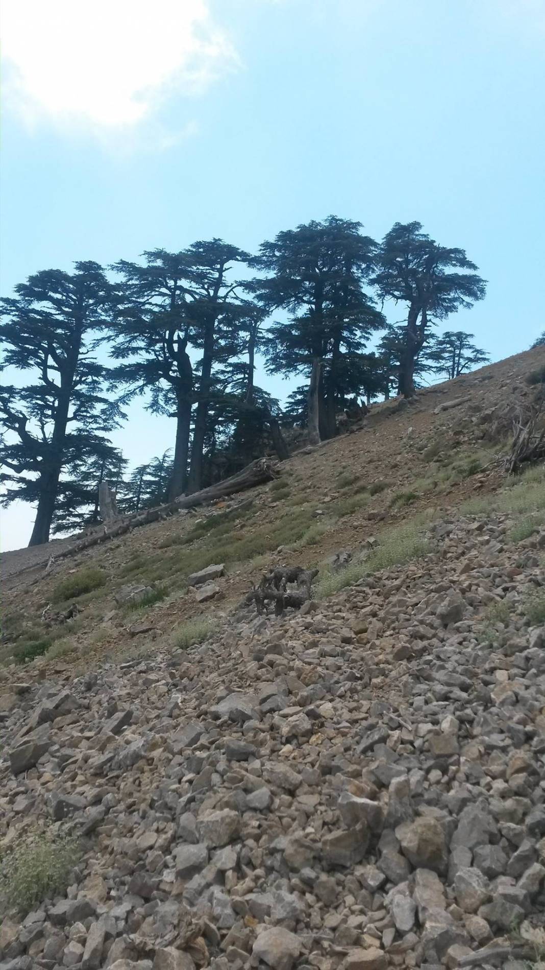 Anamur Yeşilyurt Köyü Resimleri 17