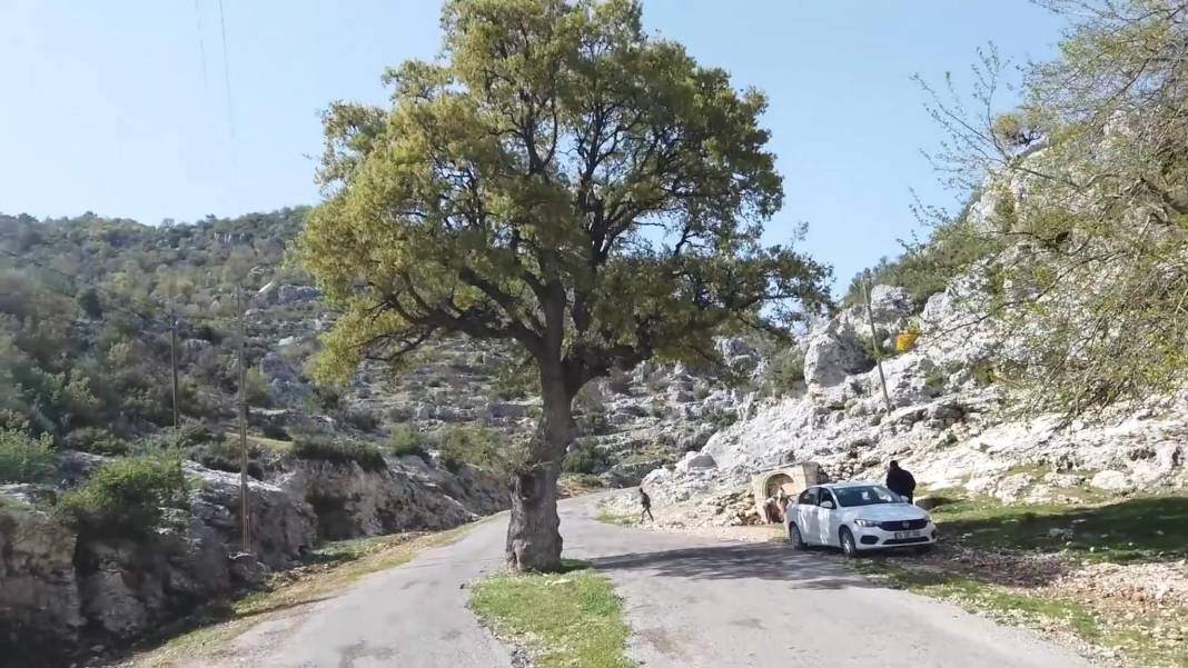 Aydıncık Duruhan Köyü Resimleri 10