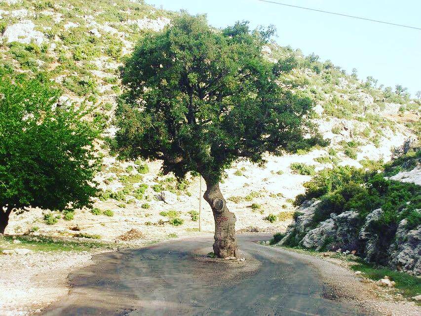 Aydıncık Duruhan Köyü Resimleri 5