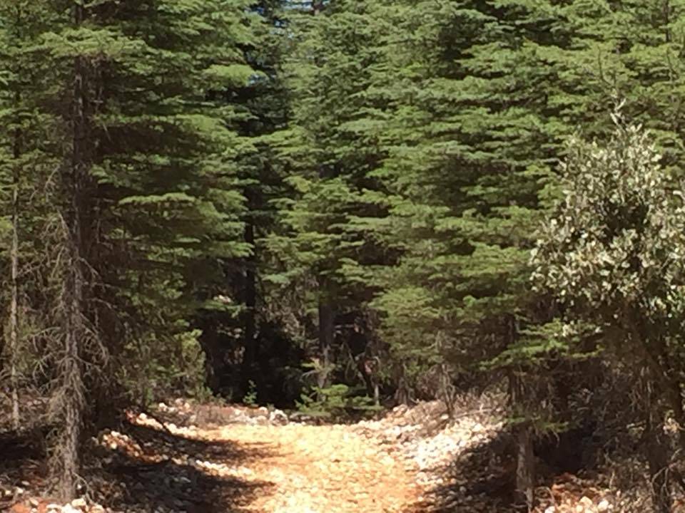 Bozyazı Akcami Köyü Resimleri 16