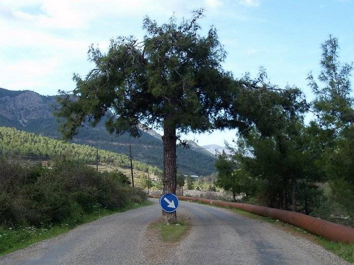 Bozyazı Akcami Köyü Resimleri 6