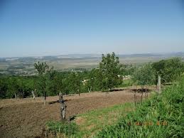 Serdivan Dağyoncalı Köyü Resimleri 4