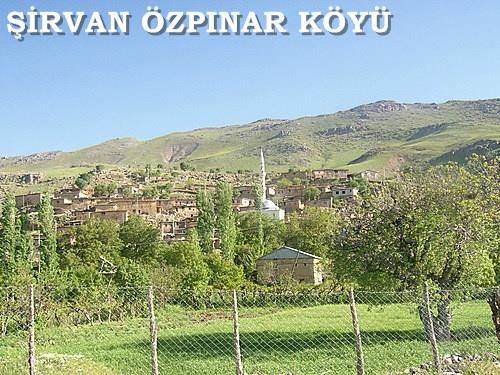 Şirvan Özpınar Köyü Resimleri 1
