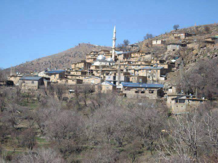 Şirvan Özpınar Köyü Resimleri 2