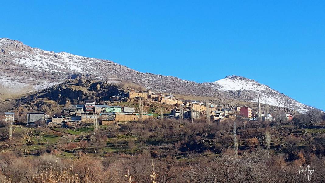 Şirvan Özpınar Köyü Resimleri 3