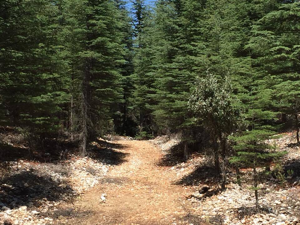 Bozyazı Bahçekoyağı Köyü Resimleri 10