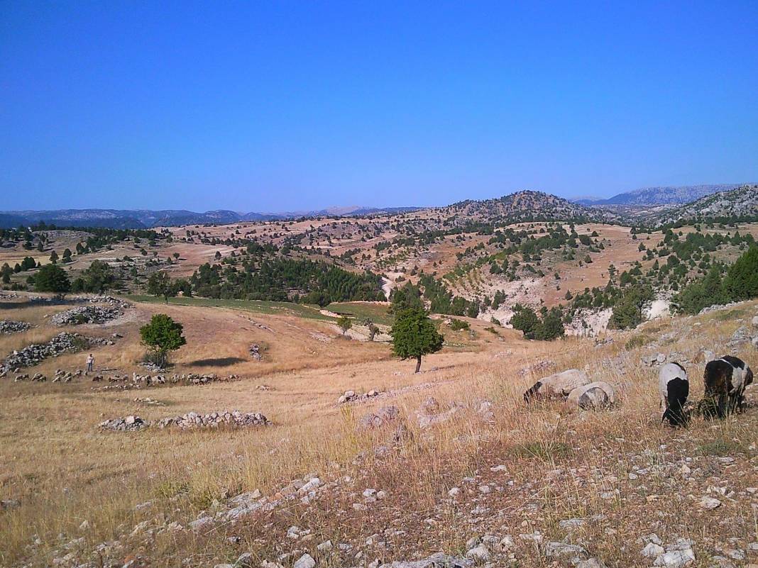 Bozyazı Bahçekoyağı Köyü Resimleri 13