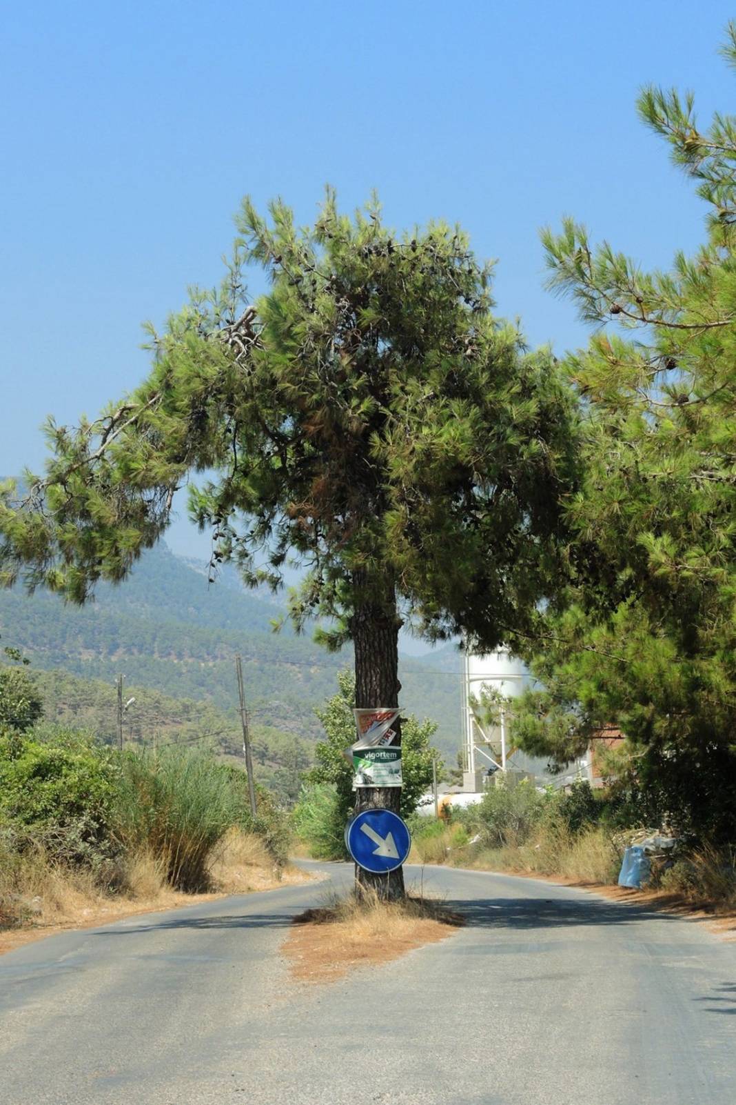 Bozyazı Gözce Köyü Resimleri 12