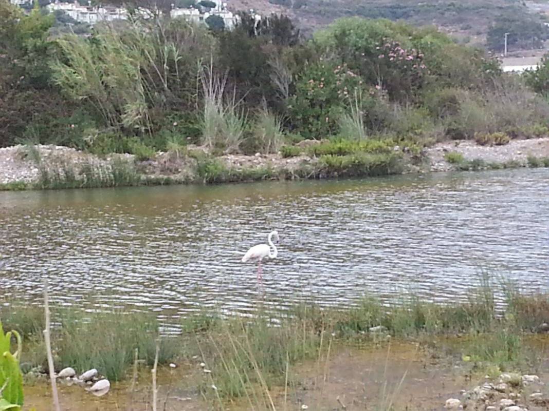 Bozyazı Gürlevik Köyü Resimleri 2