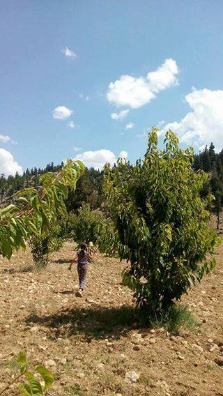 Bozyazı Gürlevik Köyü Resimleri 9