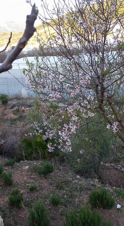 Bozyazı Kızılca Köyü Resimleri 12