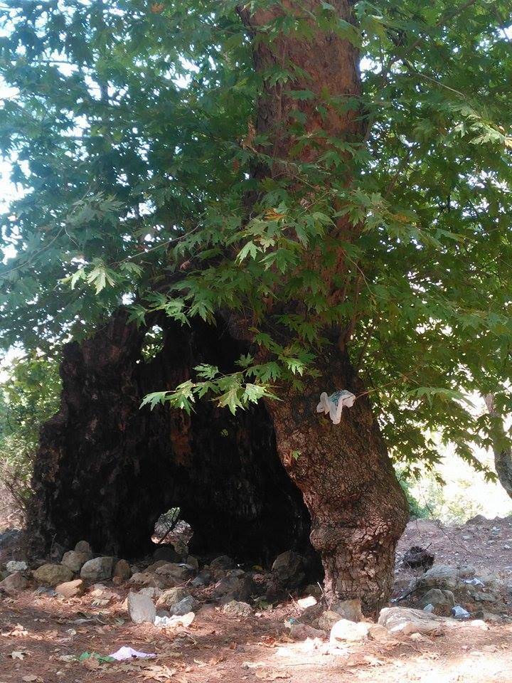 Bozyazı Kızılca Köyü Resimleri 8