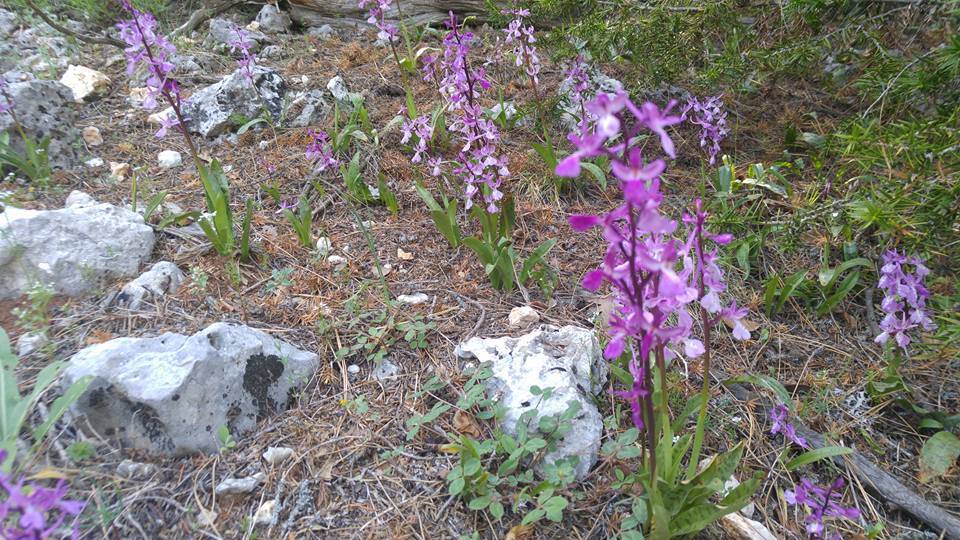Bozyazı Lenger  Köyü Resimleri 11