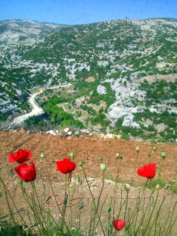 Bozyazı Merkez Köyü Resimleri 1