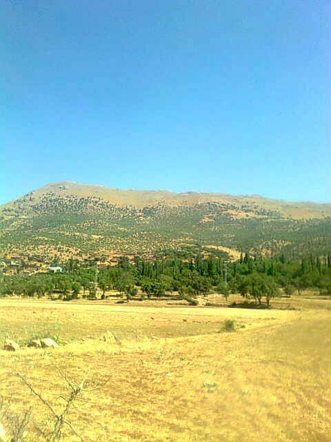 Şirvan Taşyaka Köyü Resimleri 1