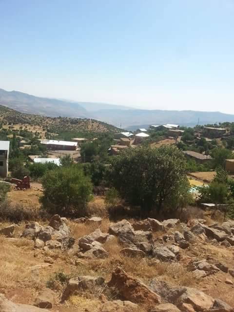 Şirvan Taşyaka Köyü Resimleri 3