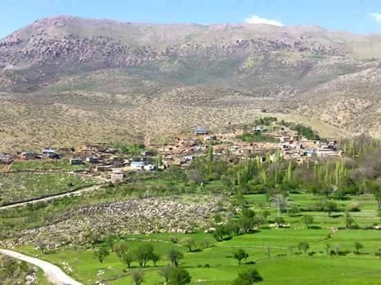 Şirvan Taşyaka Köyü Resimleri 5