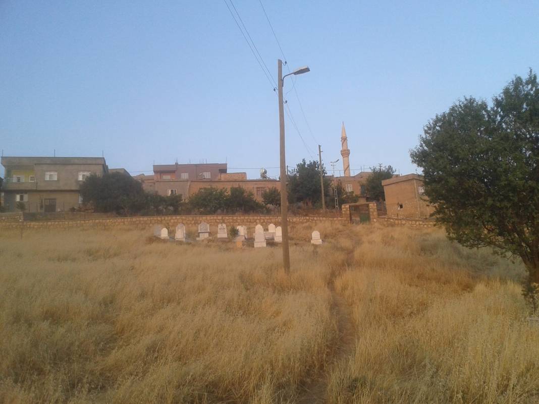 Tillo Hatrant Köyü Resimleri 1