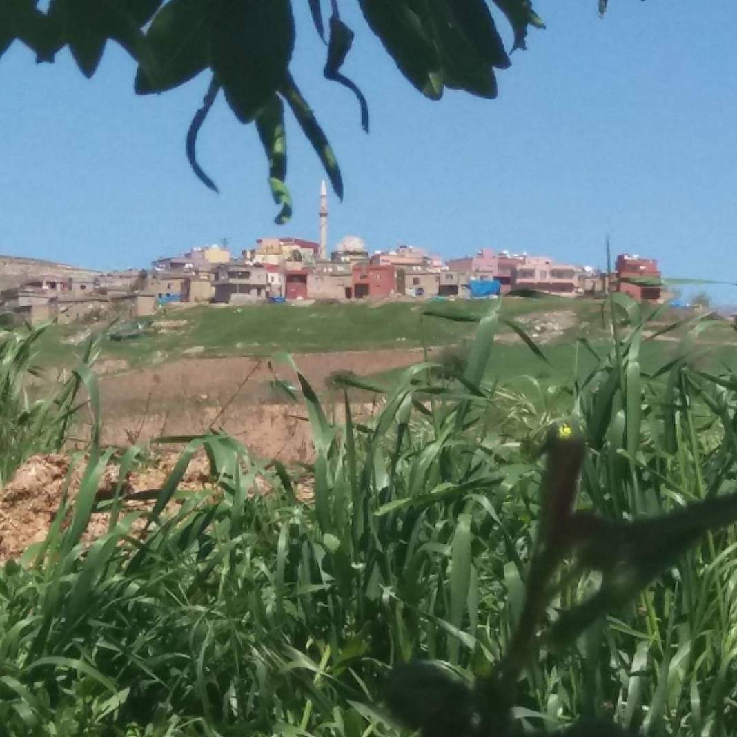 Tillo Hatrant Köyü Resimleri 4