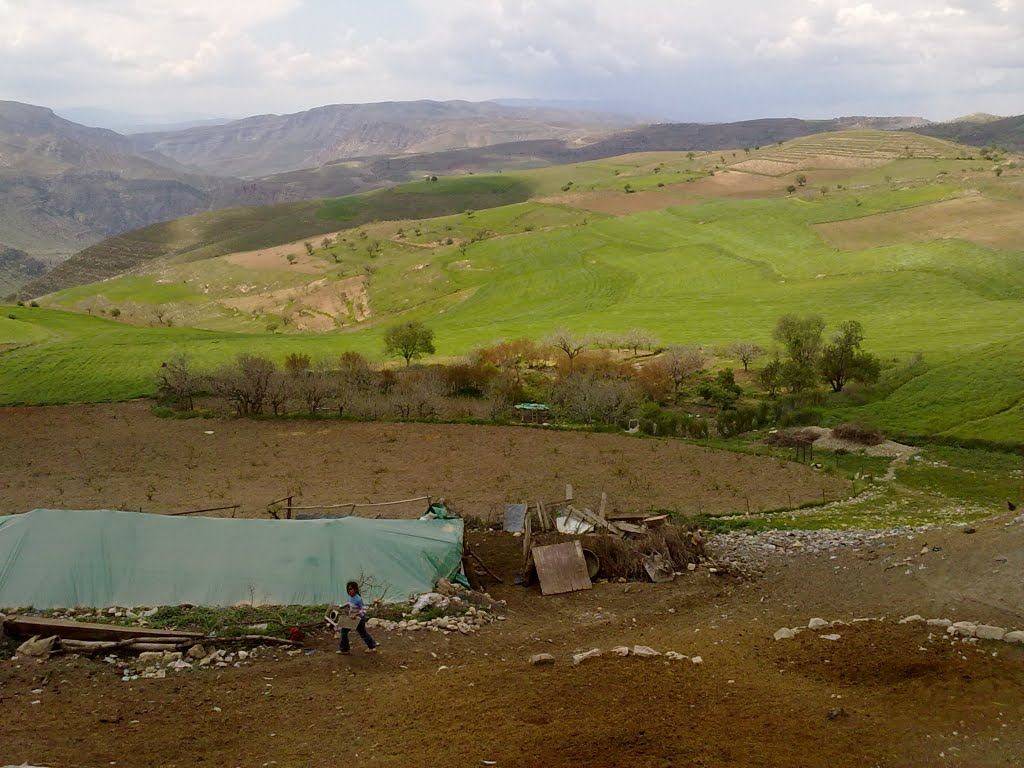 Tillo Hatrant Köyü Resimleri 6